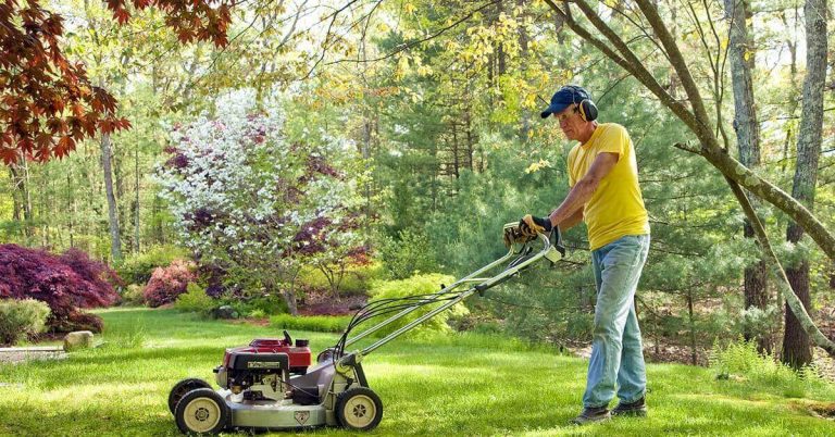 lawn maintenance how to